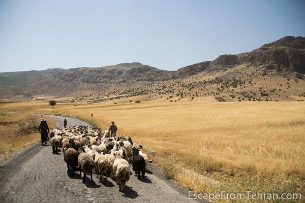 Near Bisheh, Lorestan, Iran