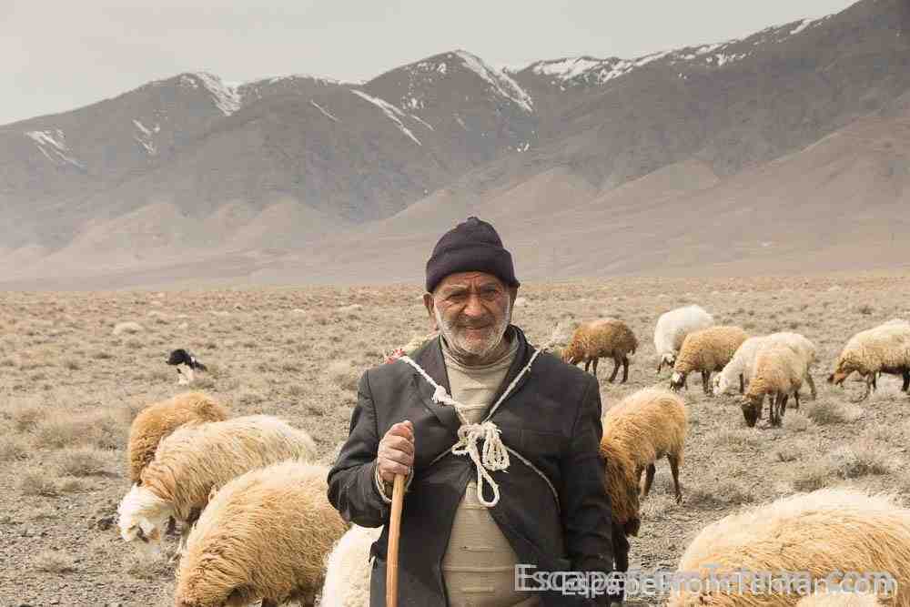 Ibrahim, 72, A Shephard In Iran