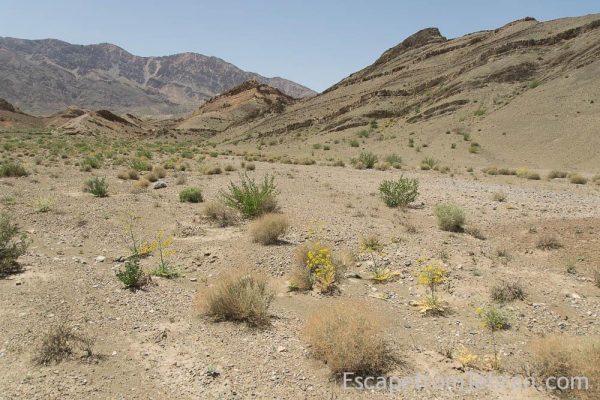 Naybandon Wildlife Refuge, South Khorasan Province, Iran