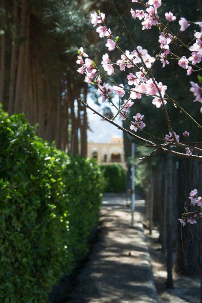 Birjand Akbariyeh Iran Escapefromtehran Com 4